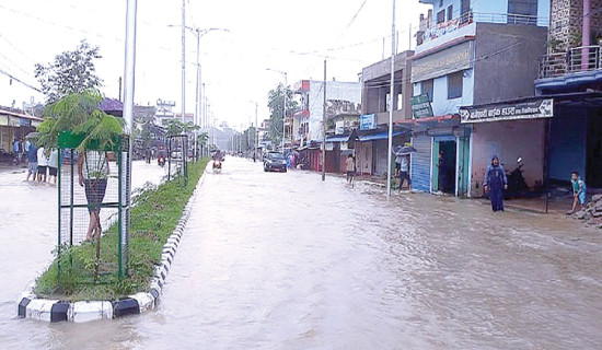 Around 2,000 houses submerged