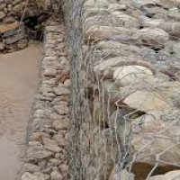 This winter likely to end without rainfall