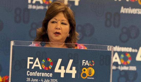 Foreign Minister urges int'l community for assistance in climate finance