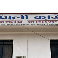Yarshagumba picker dies in Darchula