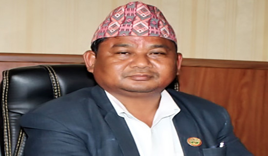 Sudur Pashchim Province: Industry Minister Chaudhary relieved
