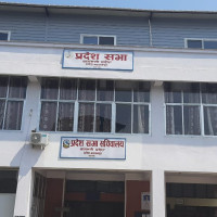 UML candidate Shrestha elected PA member from Lalitpur 2 A