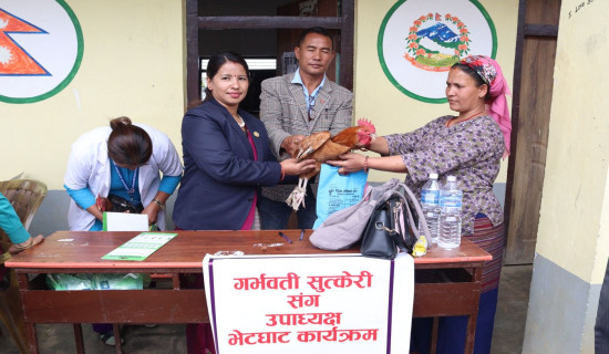 Rooster and ghee, Kaligandaki’s gift to new mother