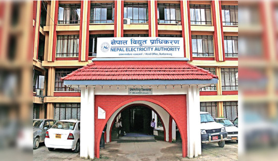 NEA gets approval for Rs. 10 billion loan from government
