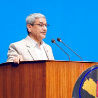Environment-friendly Teej festival suggested