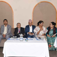 Environment-friendly Teej festival suggested