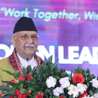 Veterinarians  role pivotal in ensuring animal and public health: DPM Shrestha