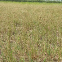 WB estimates 5.8 per cent growth rate in 2022