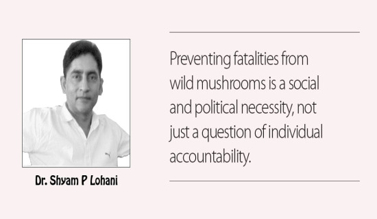 Eating Wild Mushrooms Can Be Deadly