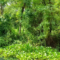 Myagdi hot spring gaining prominence as healing place
