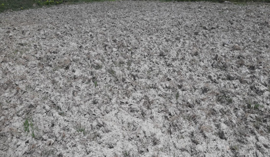 Dust, dry fields in July: A sign  of drought in Madhesh