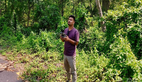 Division Forest Office using drones to monitor forest areas