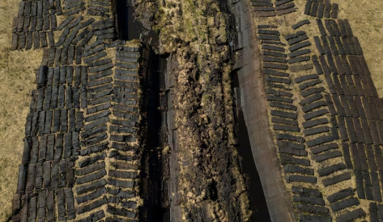 World risks up to $39 trillion in economic losses from vanishing wetlands, report says