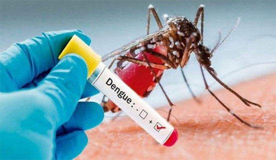 Dengue awareness drive to begin from tomorrow