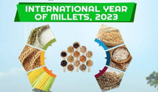 Government makes public decisions of cabinet meeting, 16th of Saun to be marked as National Millet Day