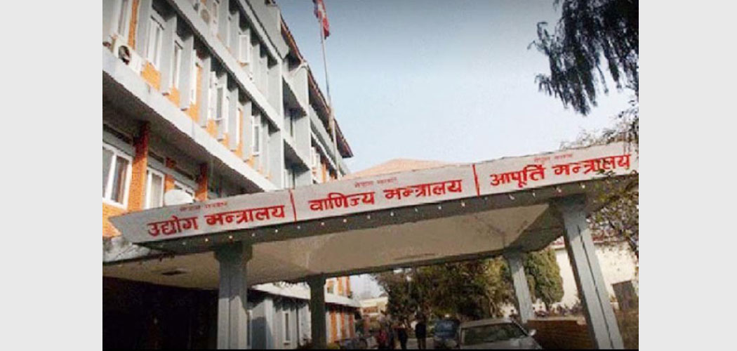 Government awards CIPs to 30 companies