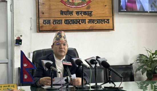 Environment ministry milestones highlighted