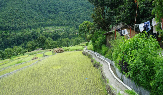 A view of mini great wall in Bandipur