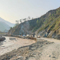 Rice cultivation area declines in Gandaki