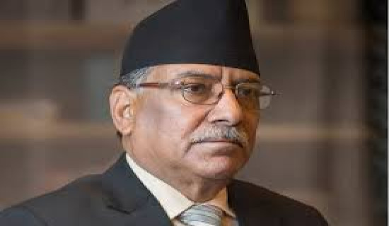 Chair Prachanda assures of taking initiative to resolve problems of Hetauda cement industry