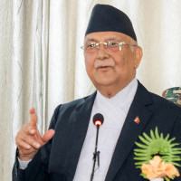 Govt. working for safeguarding the Constitution: Home Minister