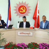Govt committed to protecting democracy: PM Oli