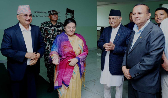 'Meeting between Chair Oli and former President Bhandari positive'