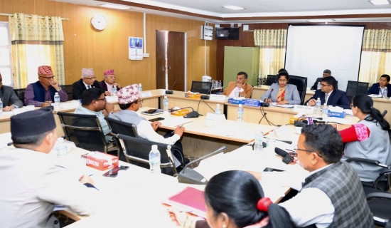'Govt committed to promote human rights'