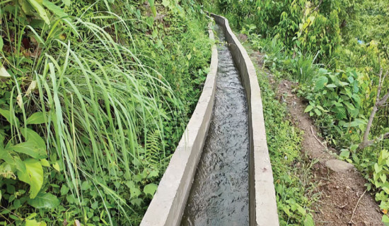 Irrigation canal provides multiple benefits to locals