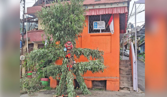Gathamuga festival marked  to ward off evils
