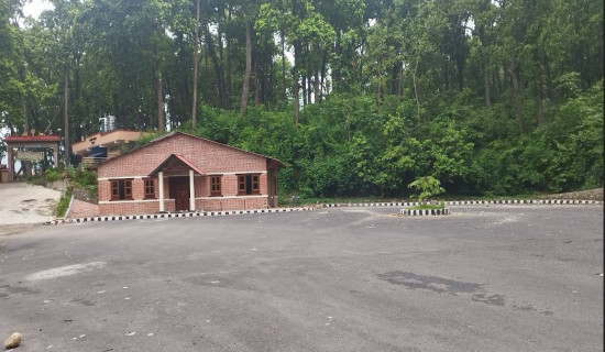 Ilam Awaits Revival
