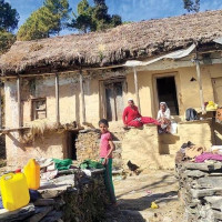 Snakebite cases surge in Tarai districts