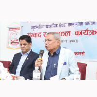 Dragon fruit plants start yielding fruits in Pyuthan