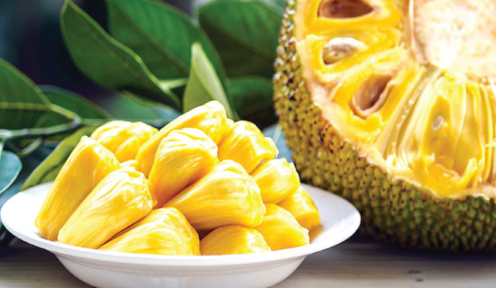 Savour jackfruit and enjoy numerous health benefits