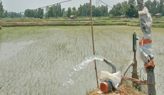 Saptari farmers turn to borehole technology for irrigation