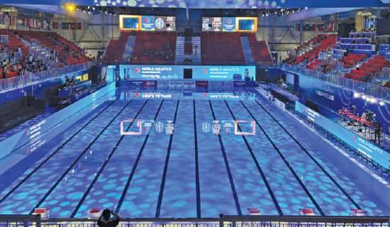 Australia's swimming dominance: Small population but big results