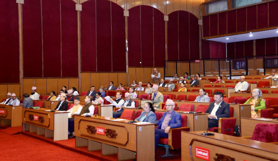 NA meeting: Lawmakers draw government's attention on various issues