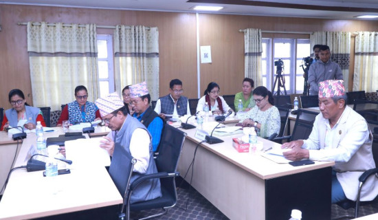 'More initiatives warranted for advancing sexual and gender minorities' rights'