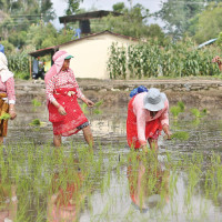 Creating Secure Future For Nepali Youths