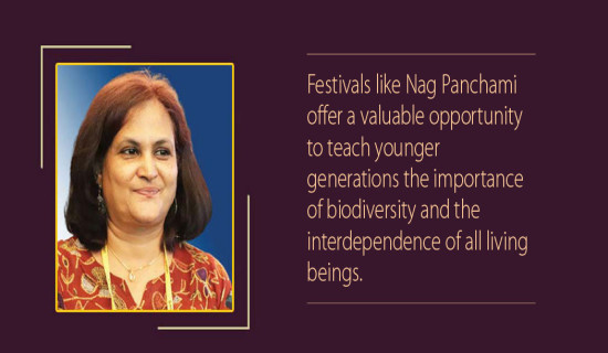 Nag Panchami And Reflections About Snakes