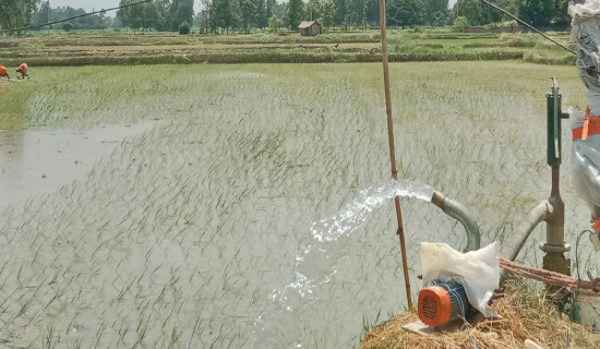 NOC to distribute fuel during Dashain holidays