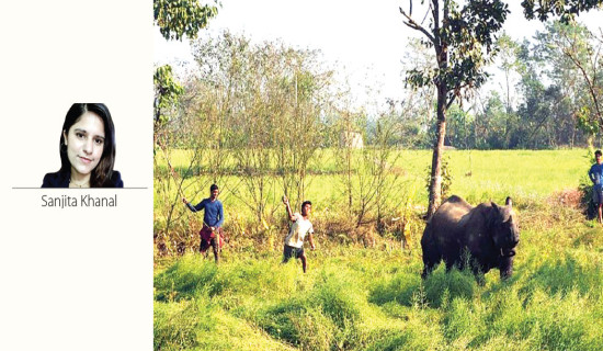The Silence Beneath Conservation