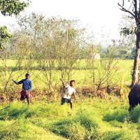 Bagmati: A Blend Of Culture And Nature
