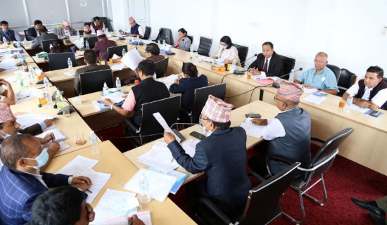 Four parliamentary committees' meetings today