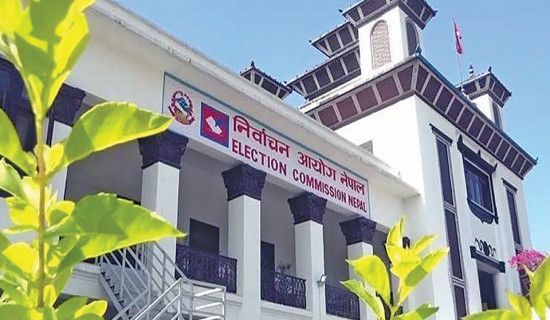 Party registration called for by-election