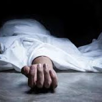 Indian tourist dies after falling in toilet