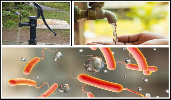'Coliform' bacteria detected in 125 drinking water sources in Baglung