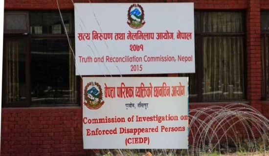 Survivors-centric approach stressed for transitional justice process