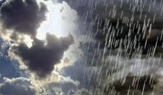 Rainfall brings relief to farmers in Dhanusha