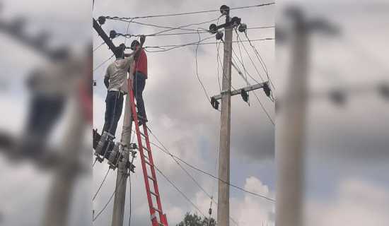 Transformer installation by NEA eases irrigation in Saptari
